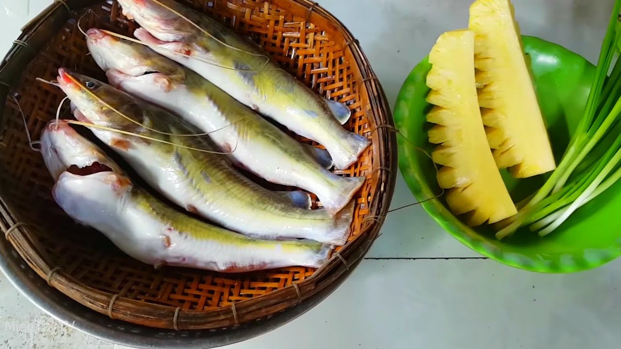 Cá lăng sông Đồng Nai - nguồn thực phẩm bổ dưỡng