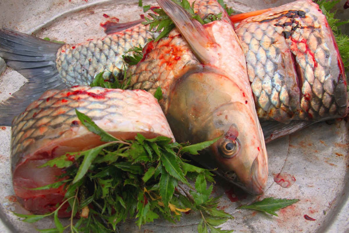 Phải sơ chế cá thật kĩ để loại bỏ đi mùi tanh đặc trưng